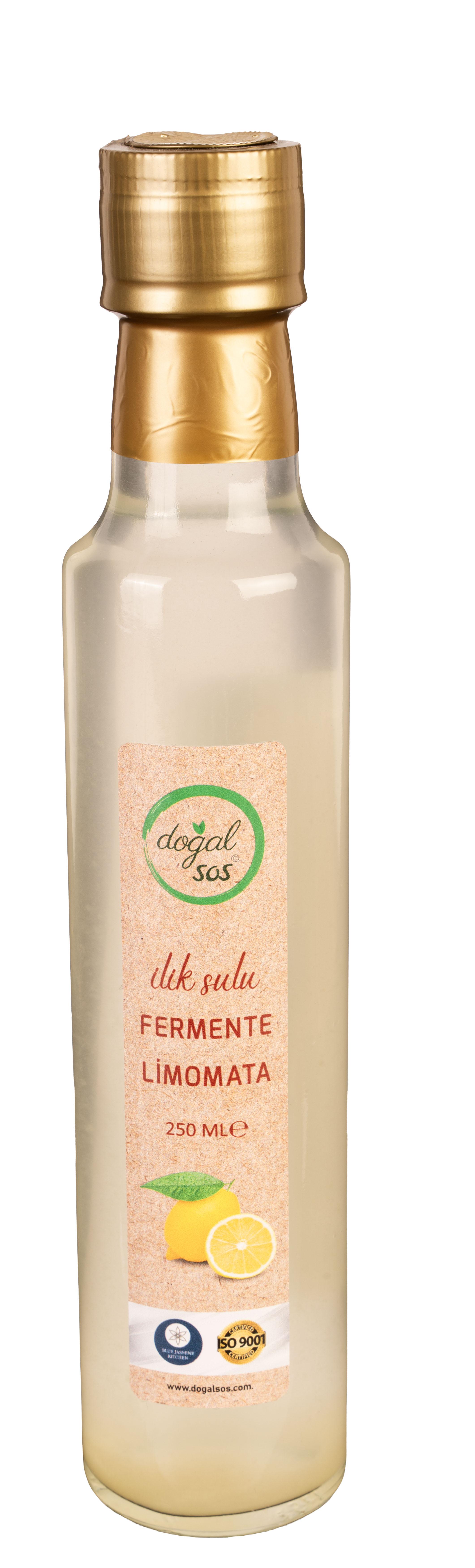 İLİK SULU FERMENTE LİMONATA