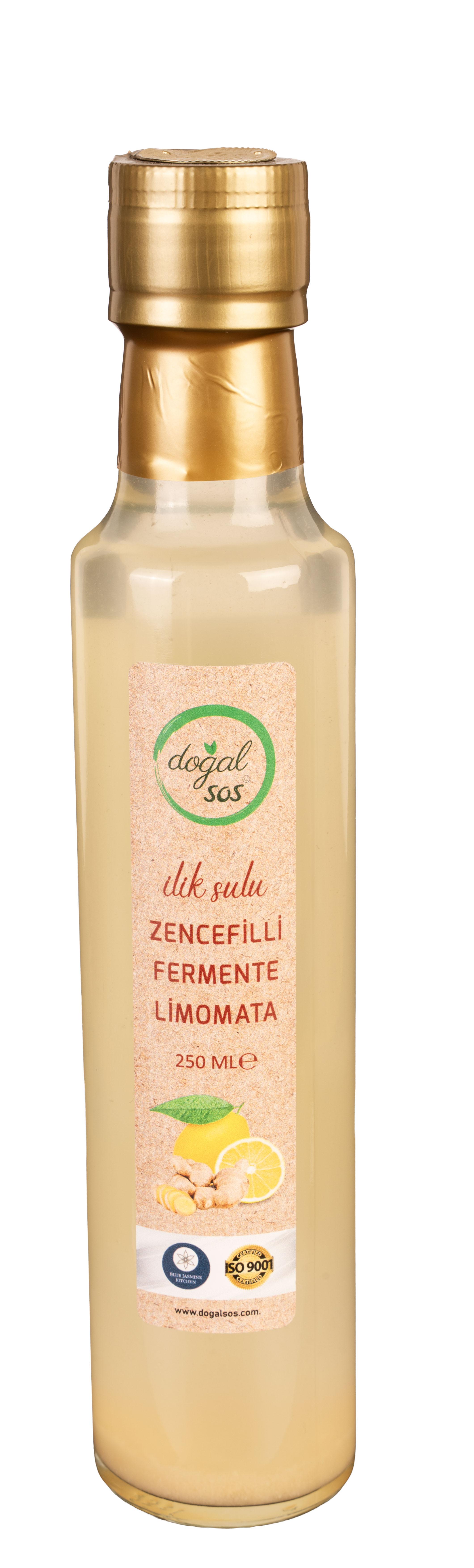 İLİK SULU ZENCEFİLLİ FERMENTE LİMONATA